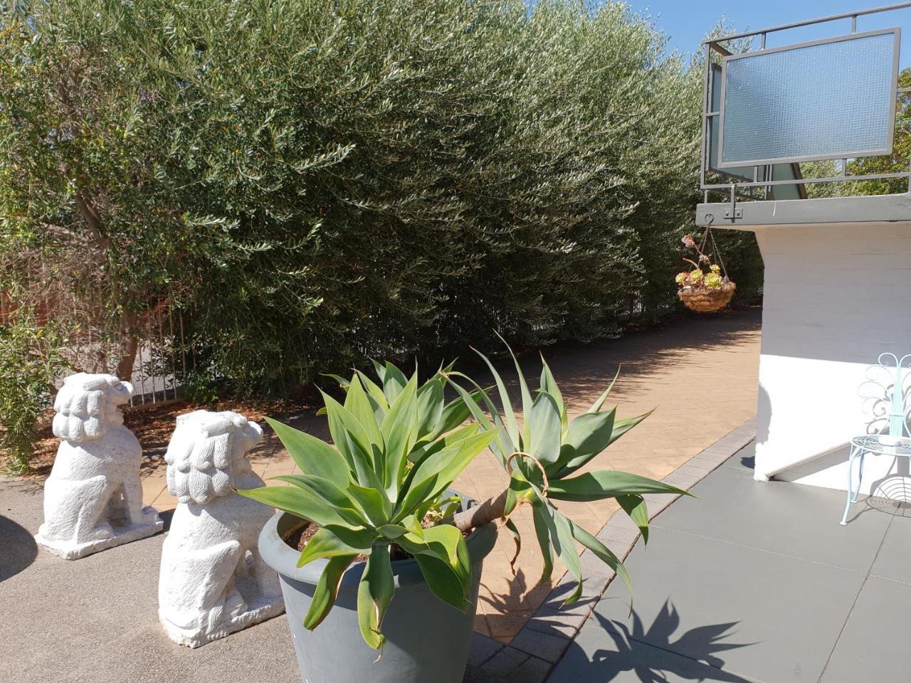 Mt.lawley Superb 2 Bedroom Ideally Located 5